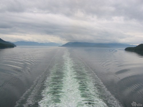 Celebrity Infinity