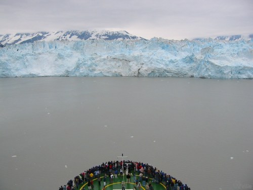 Celebrity Infinity