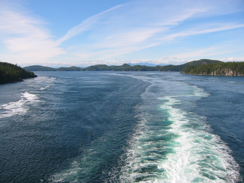 Celebrity Infinity