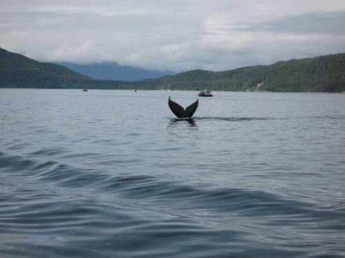 Juneau